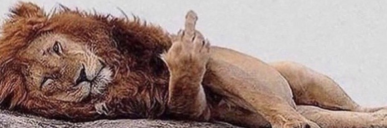 CliffKardwild's profile banner image