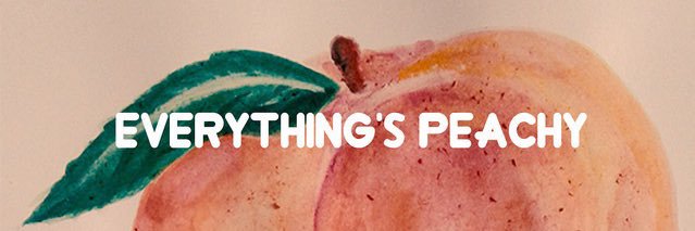 PaigeSebelin's profile banner image