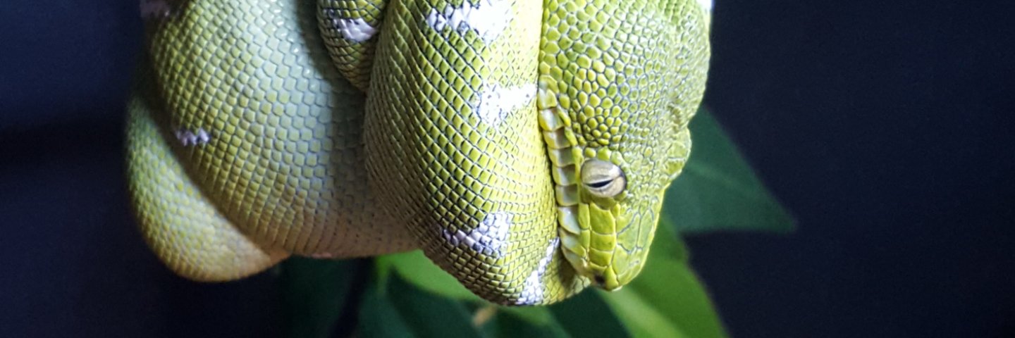 ShaunColl83's profile banner image