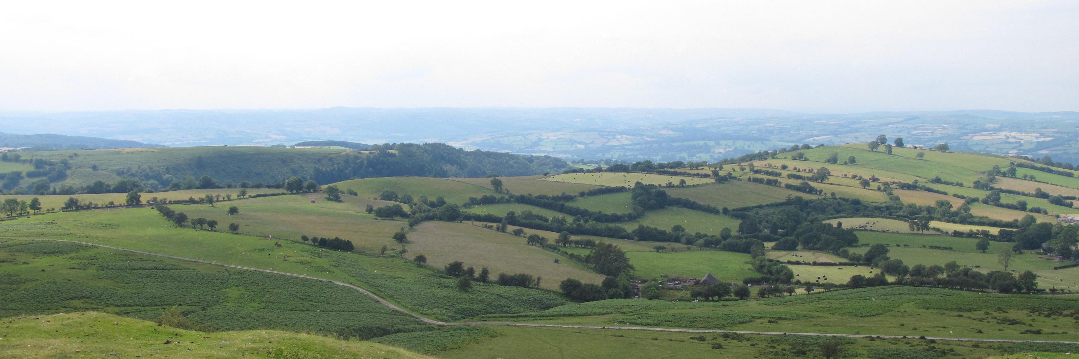 Alice Braham banner