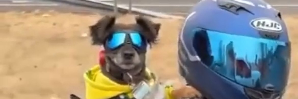 Parliament Hunkadelic banner