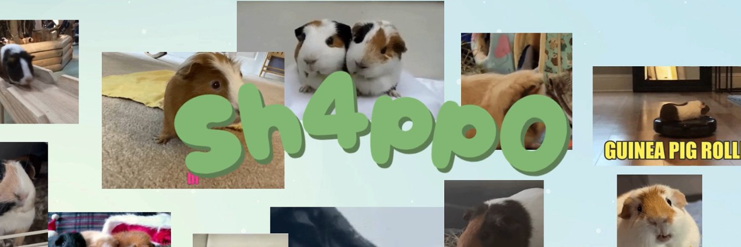 Sh4pp0's profile banner image