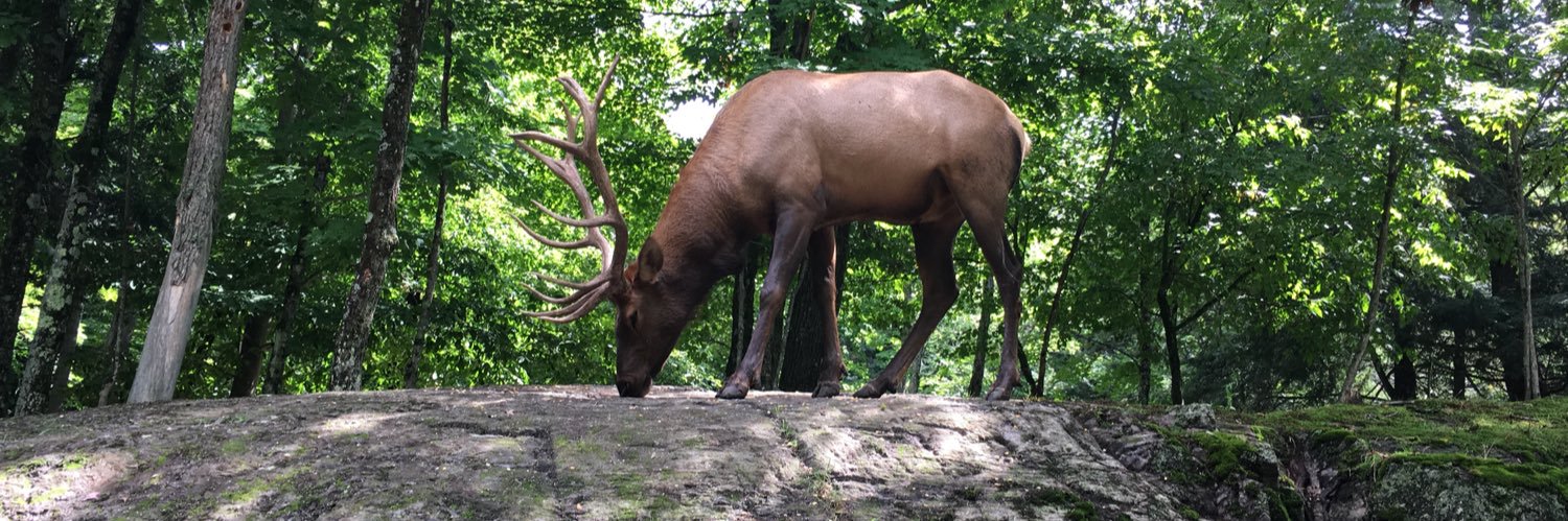 Wayner665 🇨🇦 banner