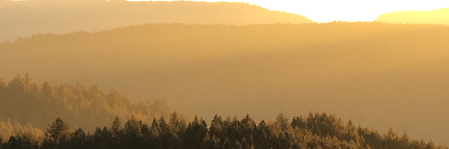 tmakley's profile banner image