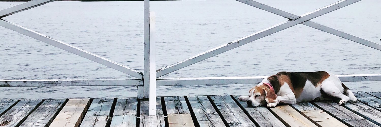 jillymwalker's profile banner image