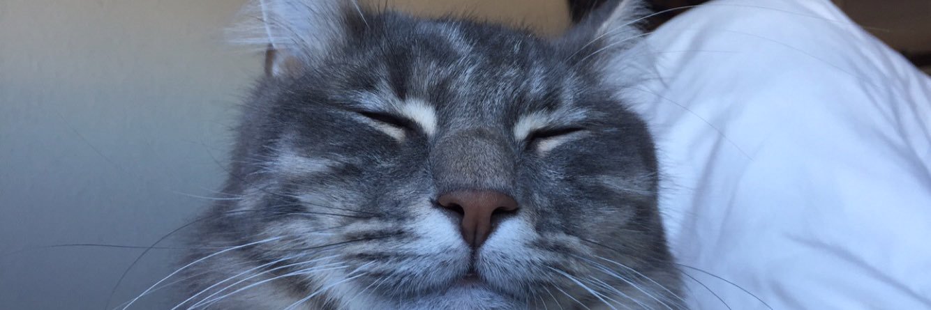 shayatkinson's profile banner image