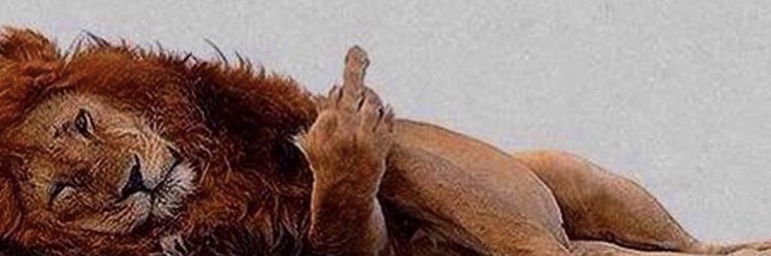 JCarmichael19's profile banner image