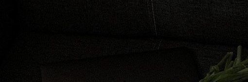 bia_danielle's profile banner image