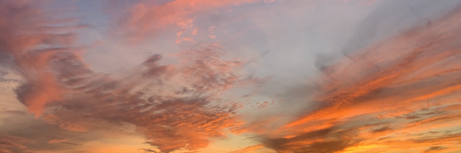 nardiii33's profile banner image