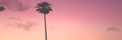 WERKWILK's profile banner image