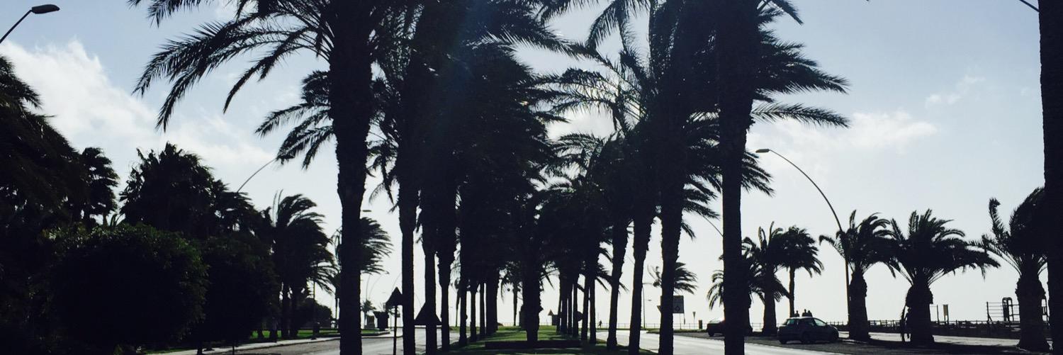 petradhd's profile banner image