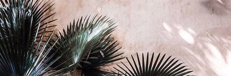 andreamontess's profile banner image