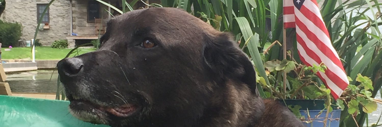 HenrySmaltz's profile banner image