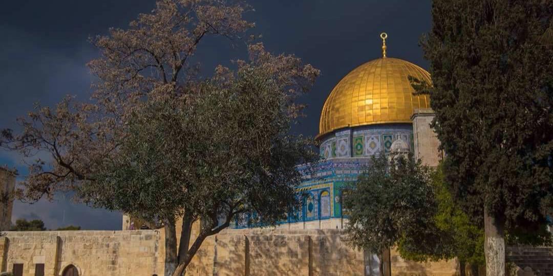 د.وليد الحسيني banner