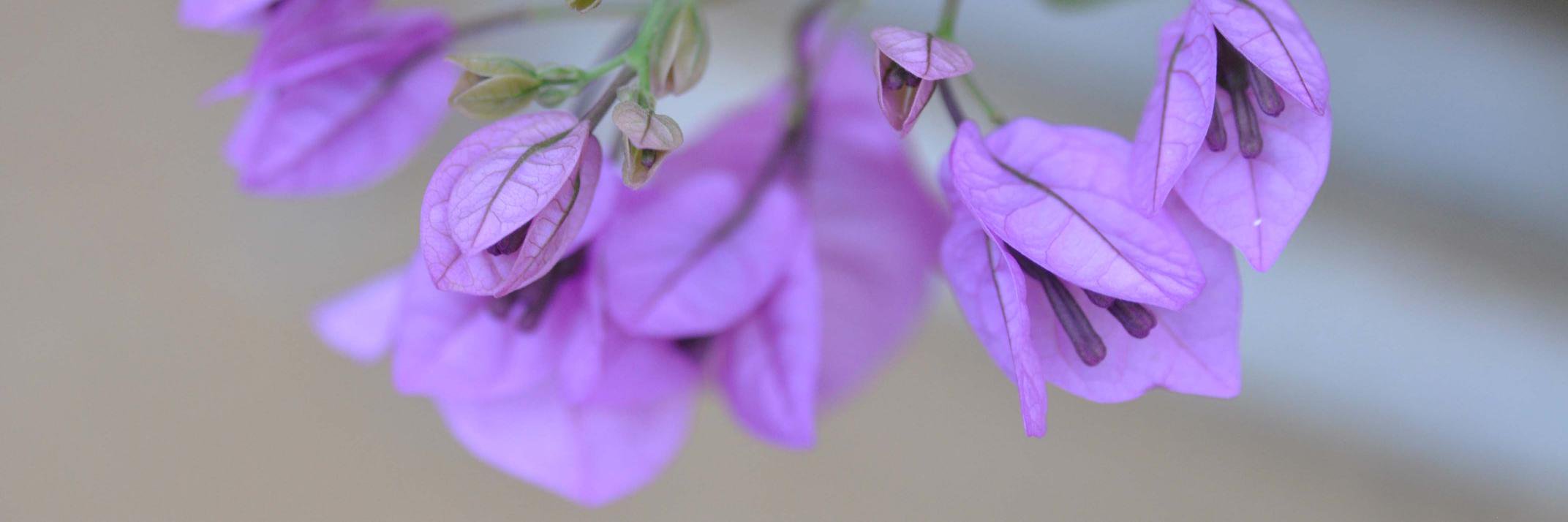 Melle_AD's profile banner image