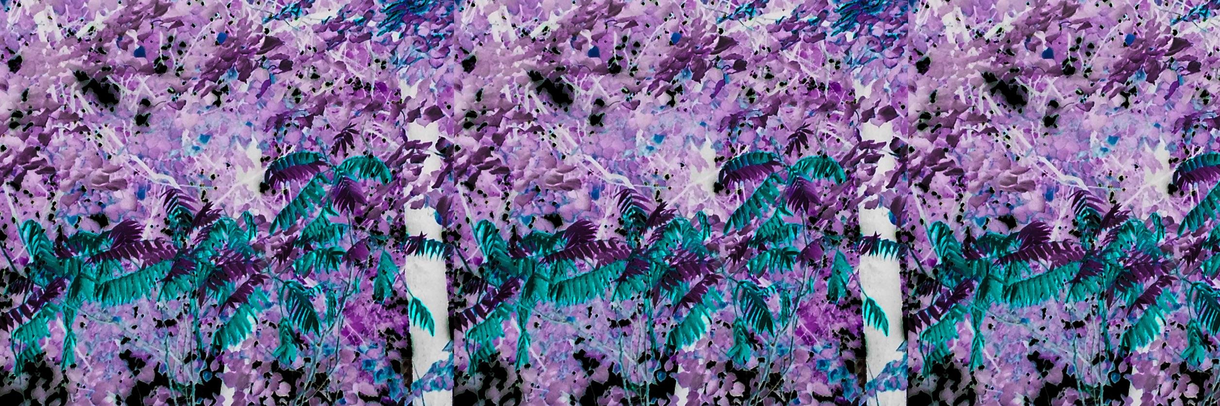 Victoria banner