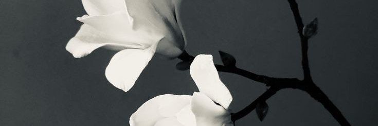 cxpist's profile banner image