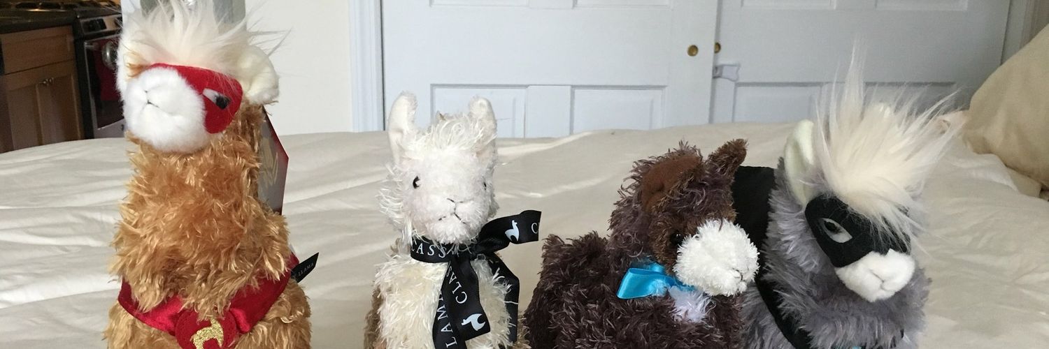 ClassiestLlama's profile banner image