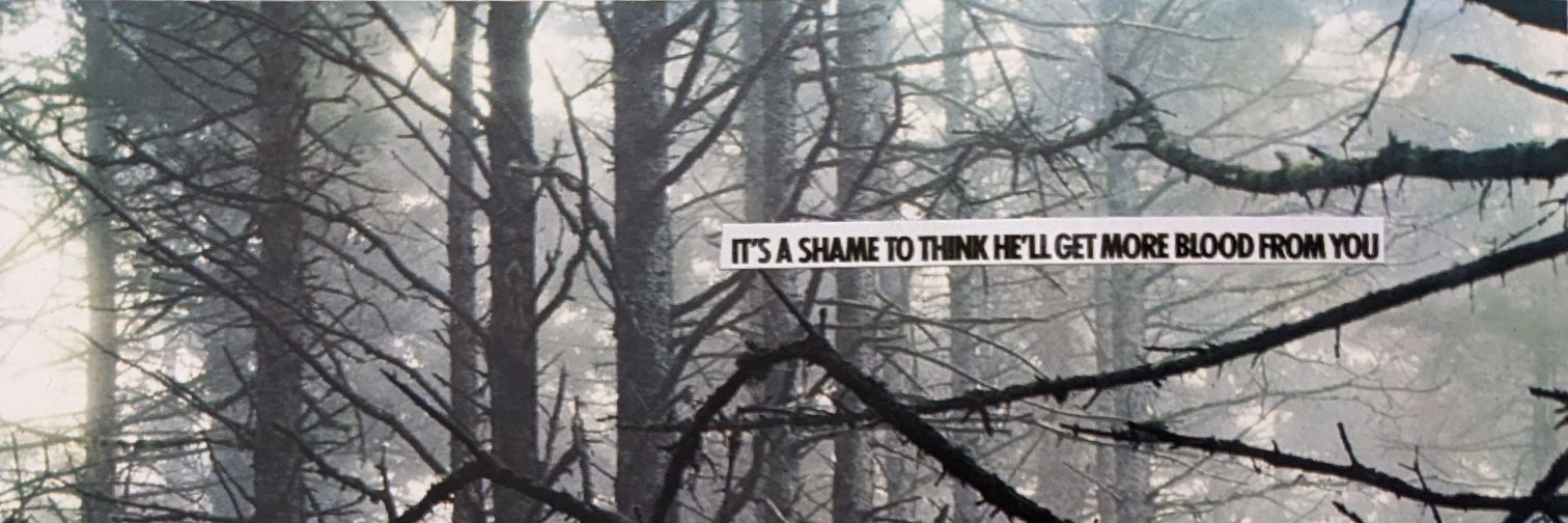 Simon Ferocious banner