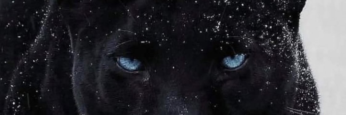 recop95's profile banner image
