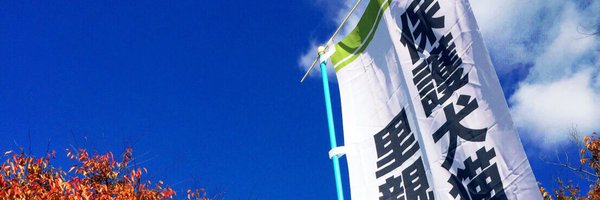 Pet_lovefive Profile Banner