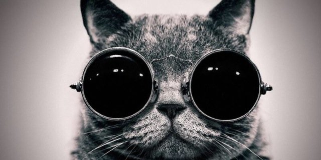 classyclasby's profile banner image