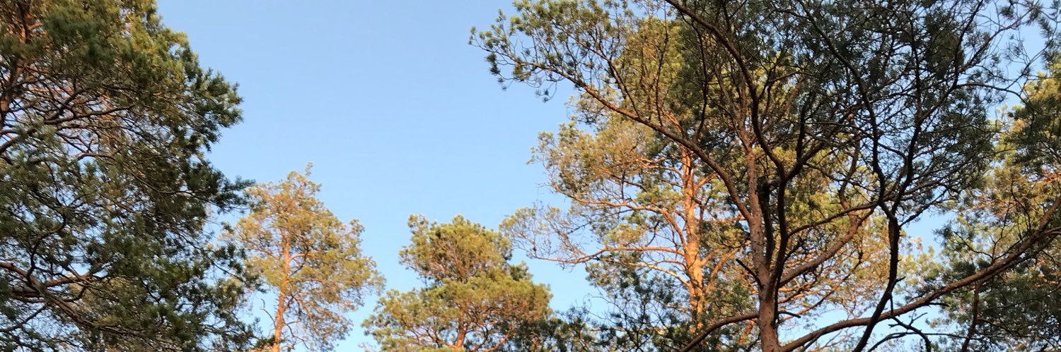 heikkiin's profile banner image