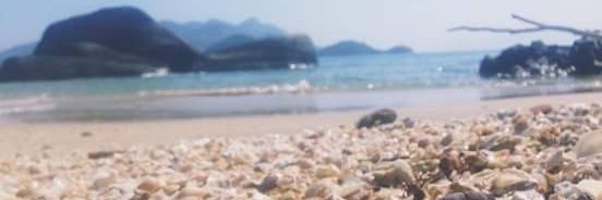 Vitorialves15's profile banner image