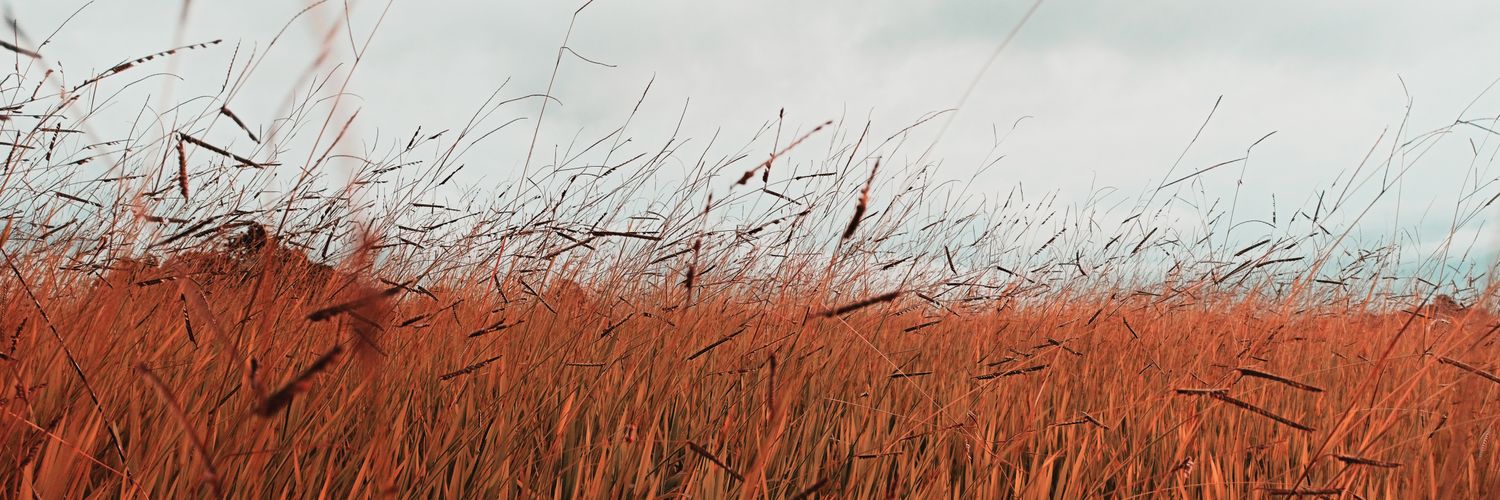 alifpan's profile banner image