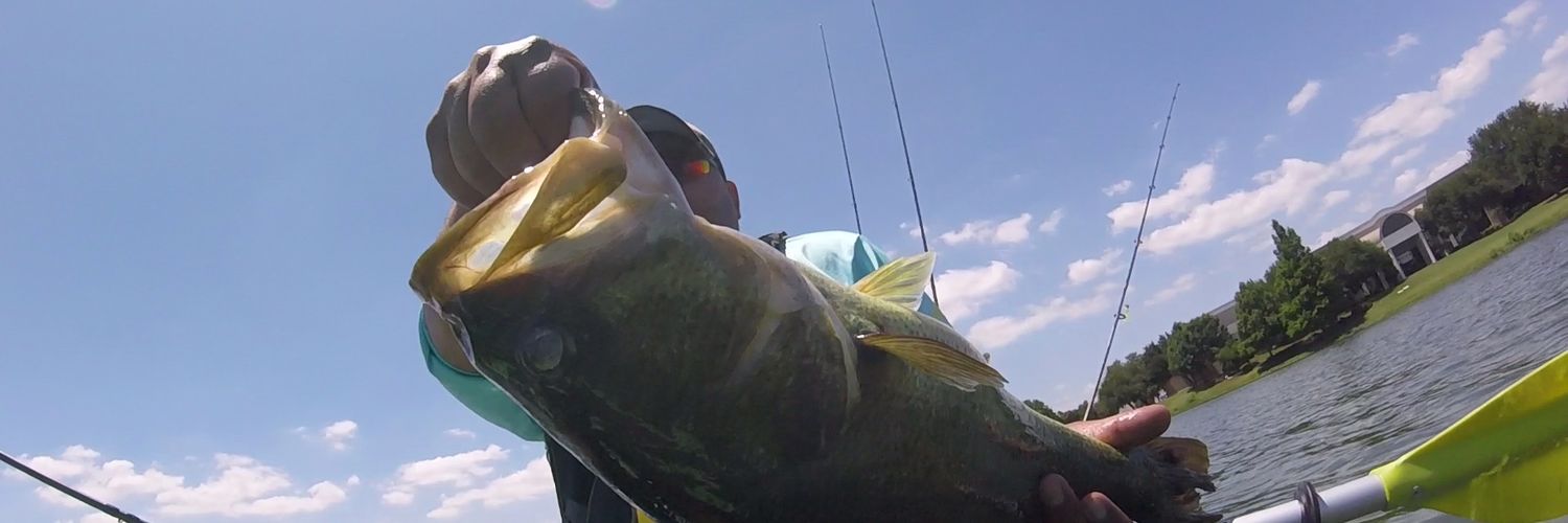 EboneksFishing's profile banner image