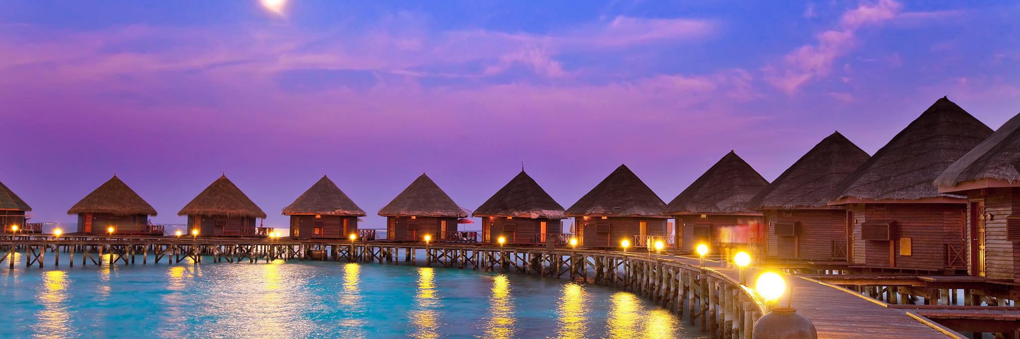 Beautiful Instincts banner