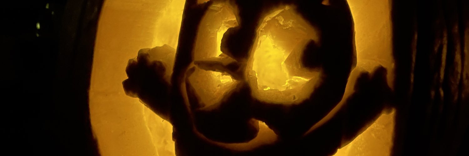 Lowcountry Badger (not actual Badger) banner