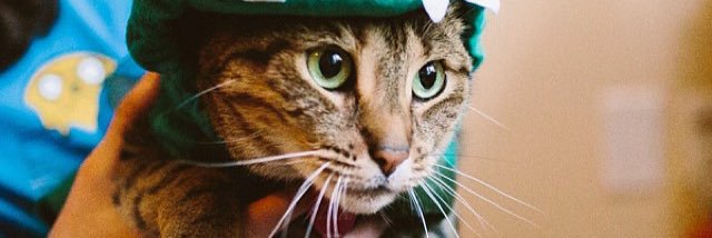 itsbeccawolf's profile banner image