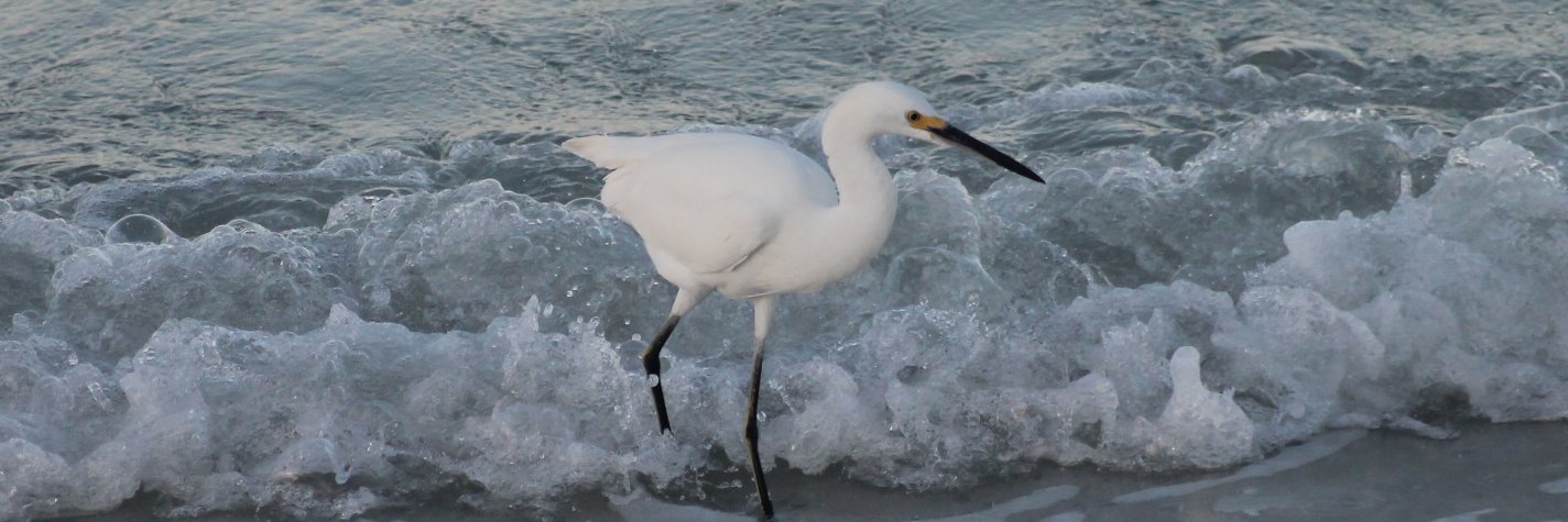 BYbirdblog's profile banner image