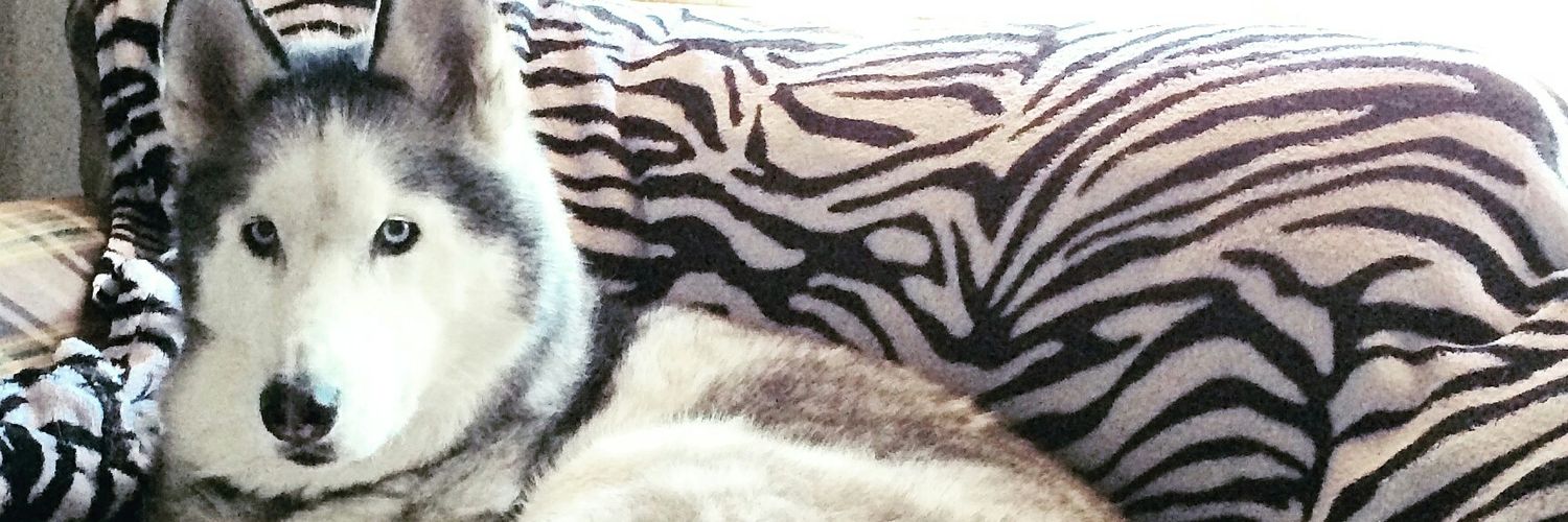 Ricky Lee James banner
