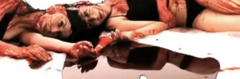 1cellgurl*:.✧ banner