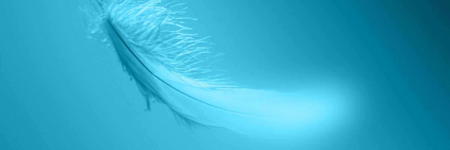 Institut_Alpha's profile banner image
