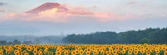 Rachells_H's profile banner image