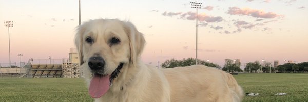 jmirne Profile Banner