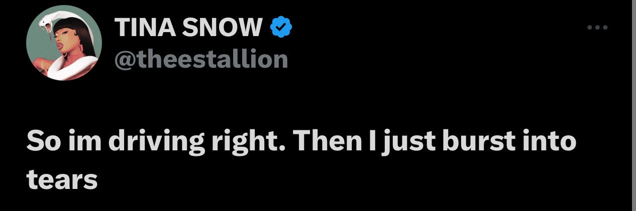 ashtwanda. 🤍 banner