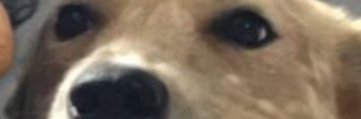layla’s biological father banner