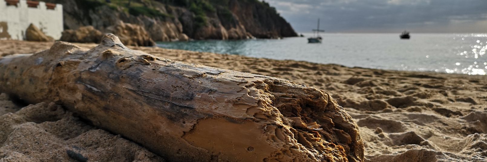 Mariona Albareda banner