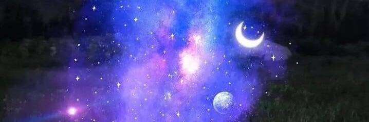 Brujita Guerrera banner