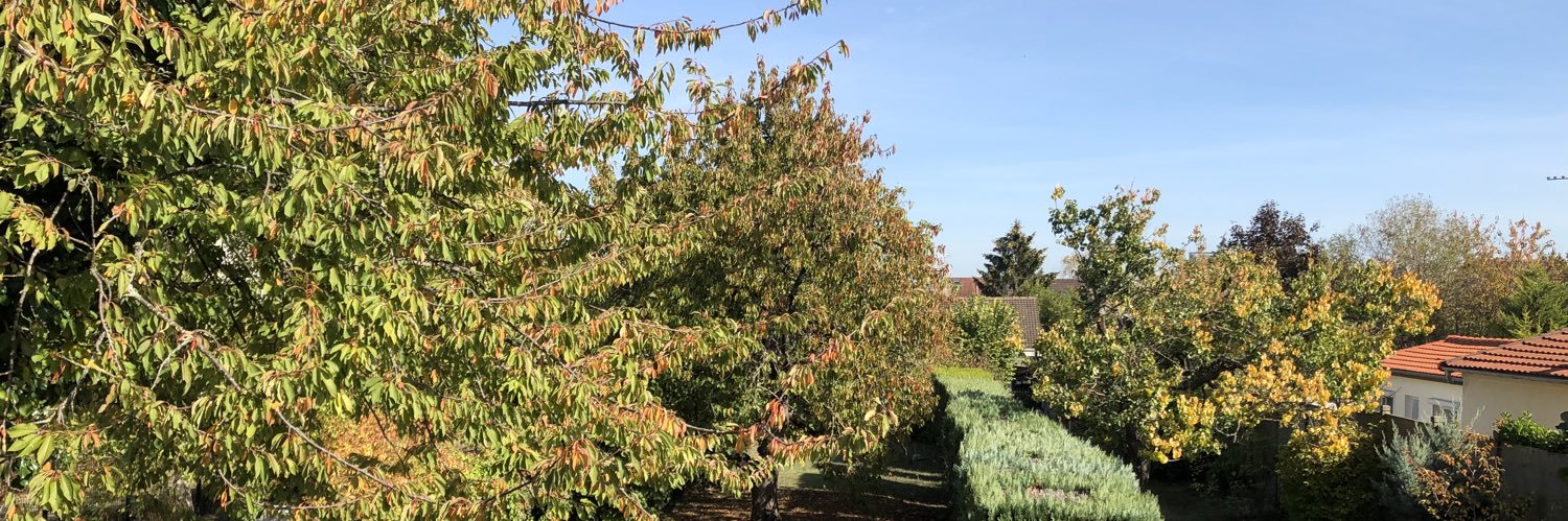 Fabien Skowronek banner