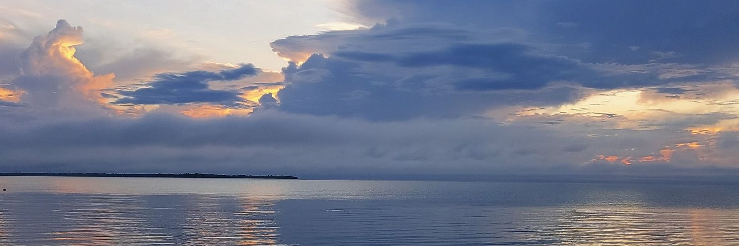 Libya Carrillo banner