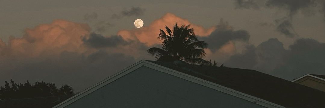edithnavarro17's profile banner image