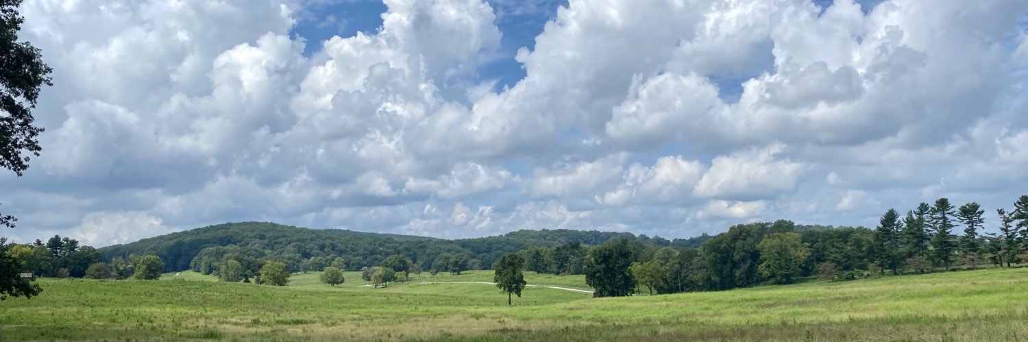 🐇A Pro Chicken Account banner