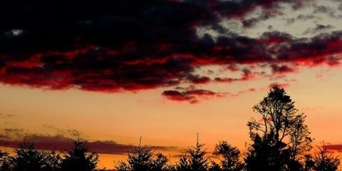 ale_chex's profile banner image
