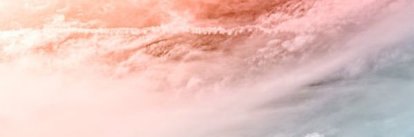 Arielle banner