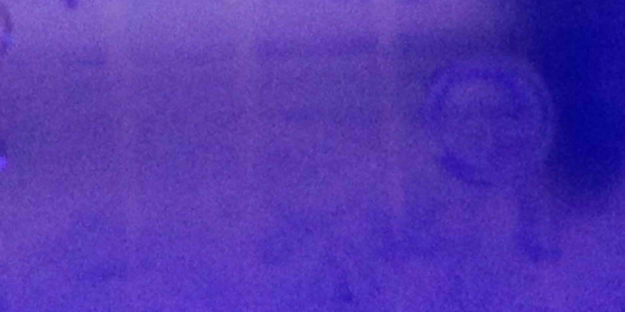 Rafael Murr Mares banner